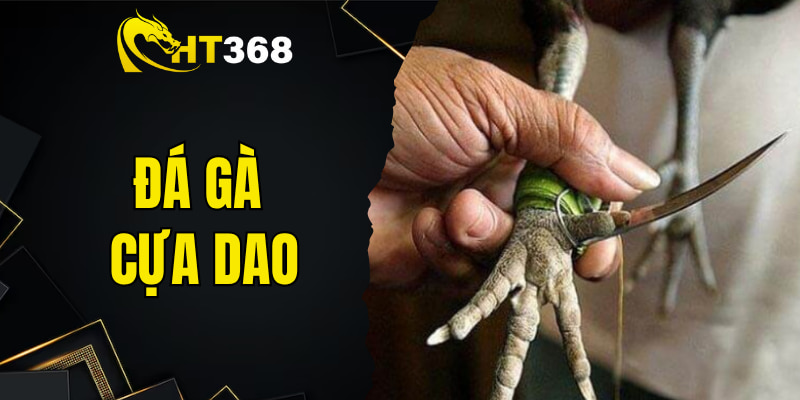 Khám Phá Hình Thức Đá Gà Cựa Dao Siêu Hot Tại Nhà Cái HT368