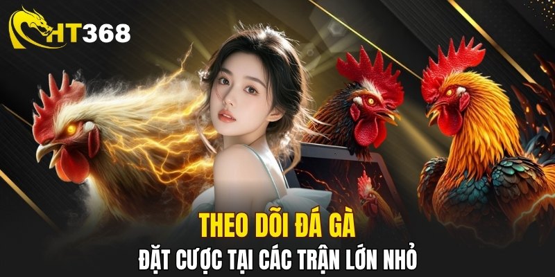 Theo dõi các trận đấu gà trực tiếp cực hay ho
