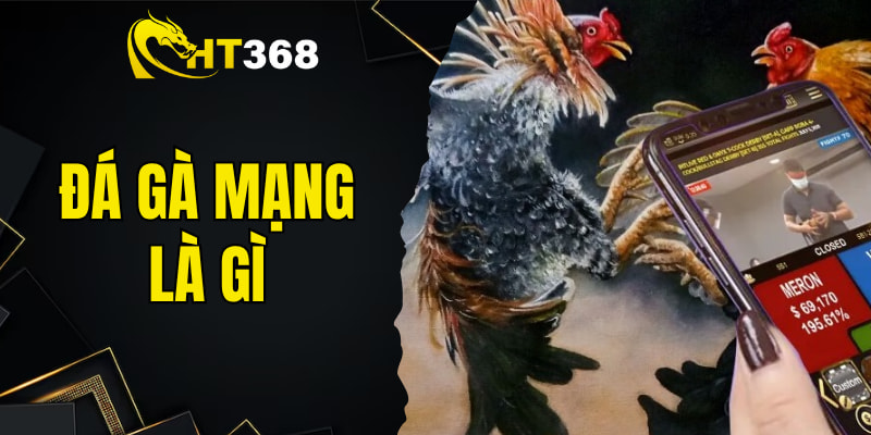 Đá Gà Mạng Là Gì? Cách Đặt Cược Trận Đấu Chi Tiết Tại HT368