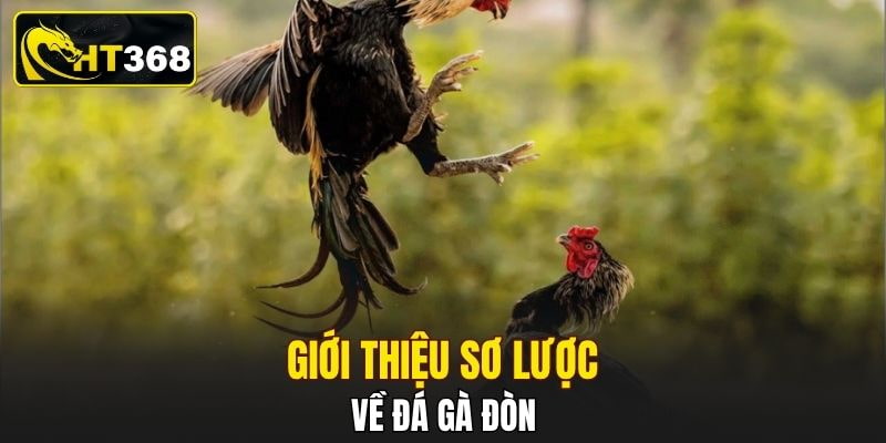 Giới thiệu sơ lược về đá gà đòn