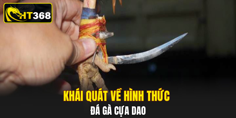 Khái quát về hình thức đá gà cựa dao