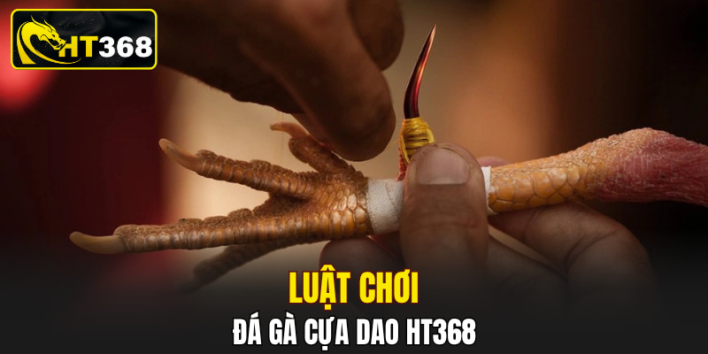 Luật chơi đá gà cựa dao HT368