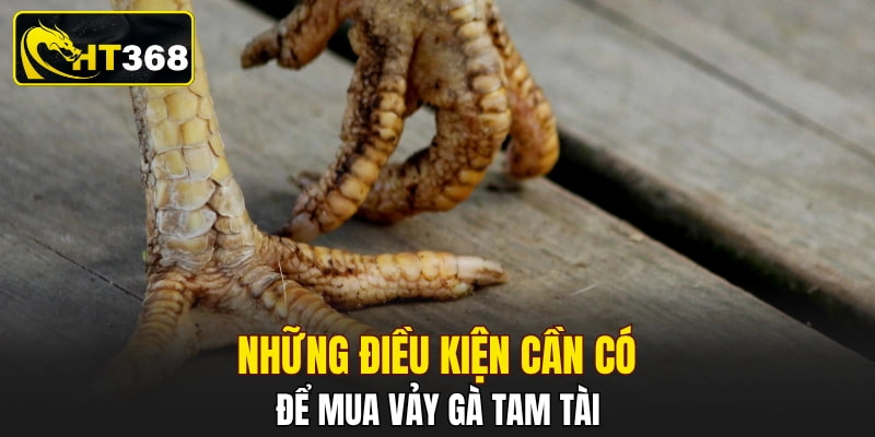 Những điều kiện cần có để mua vảy gà tam tài