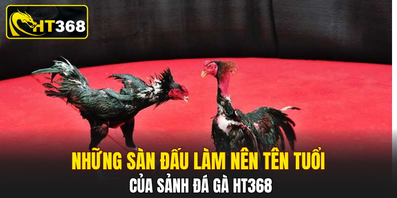 Những sàn đấu làm nên tên tuổi của sảnh đá gà HT368