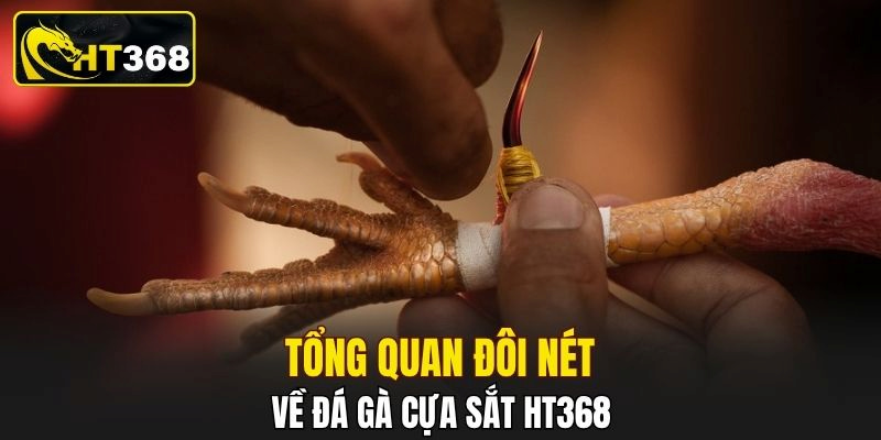 Tổng quan đôi nét về đá gà cựa sắt HT368