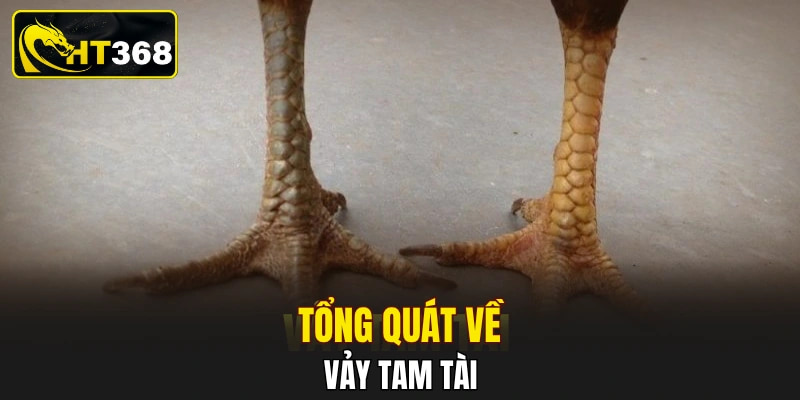 Tổng quát về vảy tam tài