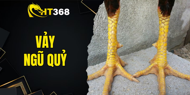 Vảy Ngũ Quỷ - Bí Ẩn Dị Tướng Trong Giới Gà Chọi Tại HT368