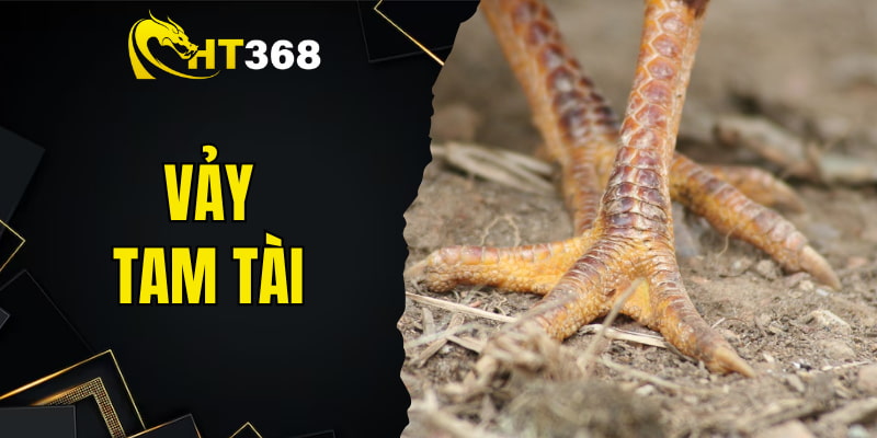 Vảy Tam Tài - Bí Ẩn Sau Tướng Vảy Theo Góc Nhìn Từ HT368